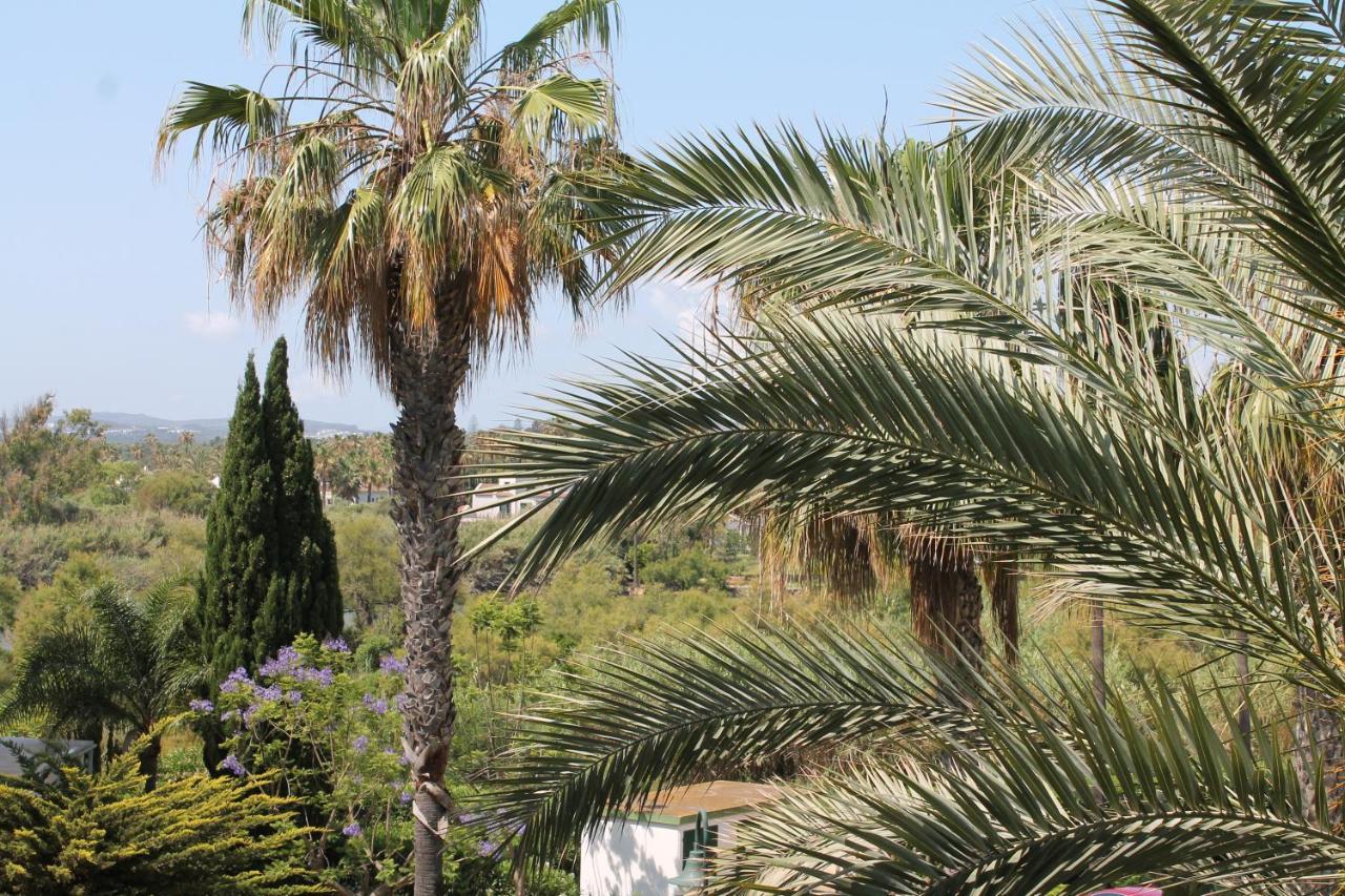 Appartement New View Sotogrande Marina - Jungla Del Loro Extérieur photo